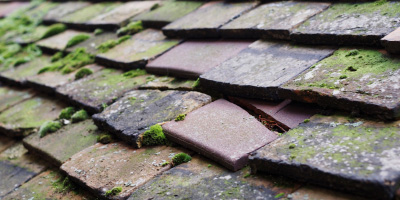 Sardis roof repair costs